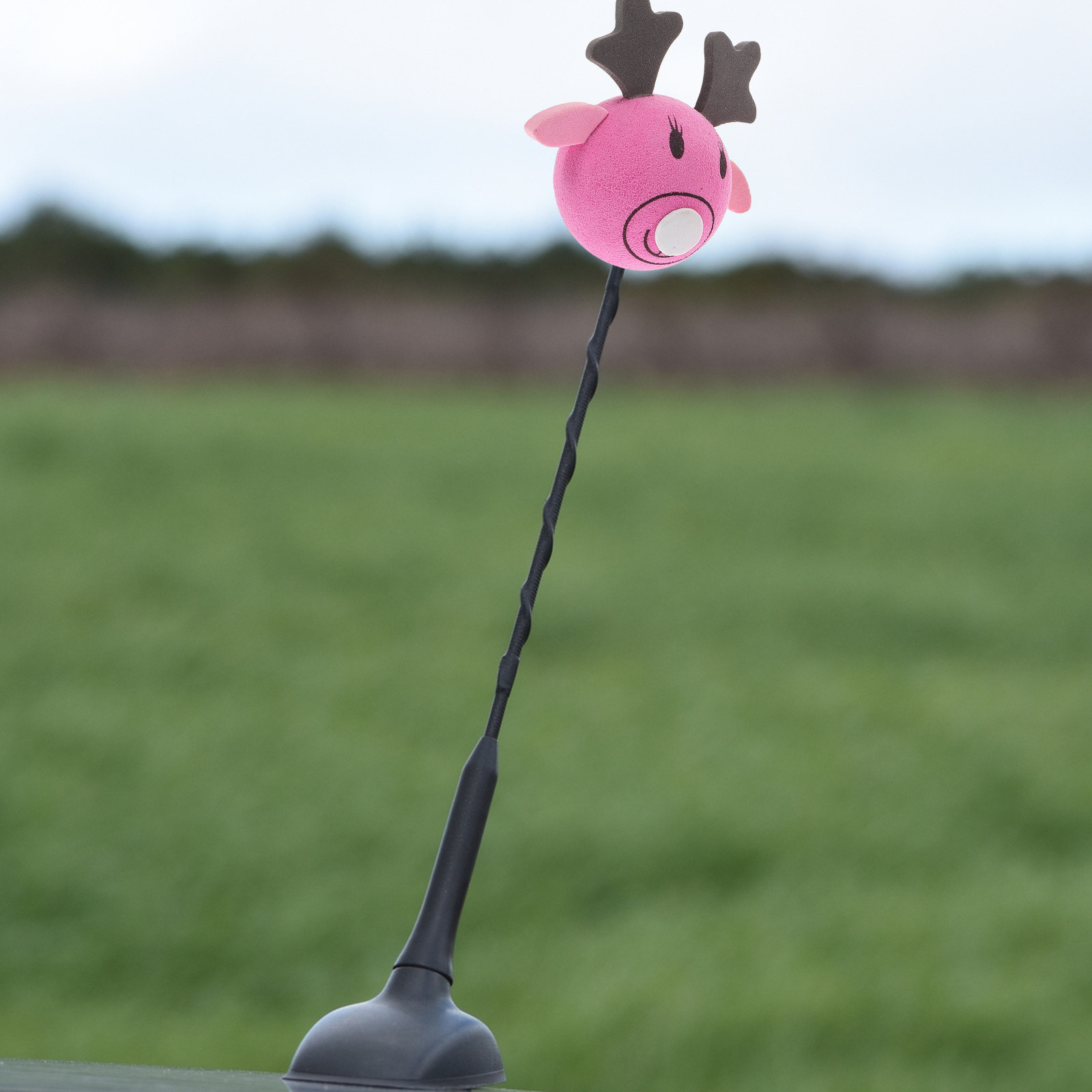 2Pcs Car Antenna Ball Unique D - Car Accessories Unique review and price